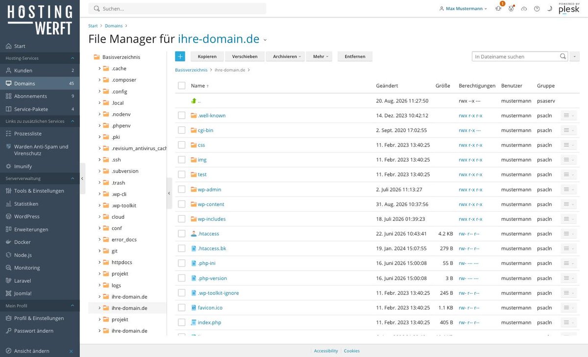 Plesk-Ansicht: Website-Dateien hochladen: Dateimanager und FTP im Vergleich
